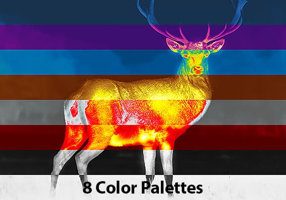 Color palettes